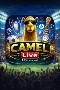 Camel Live 1