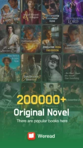 weread novel  3
